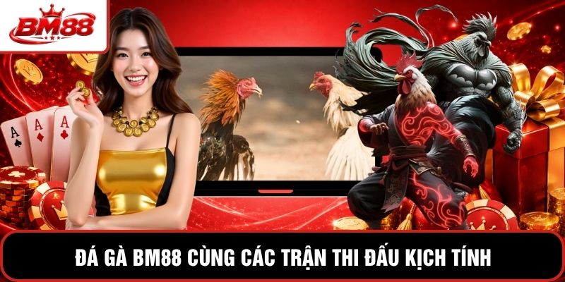 Đá gà BM88 cùng các trận thi đấu kịch tính