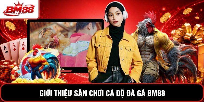 Giới thiệu sân chơi cá độ đá gà BM88