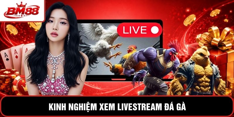 Kinh nghiệm xem livestream đá gà