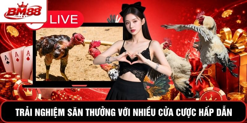 Trải nghiệm săn thưởng với nhiều cửa cược hấp dẫn